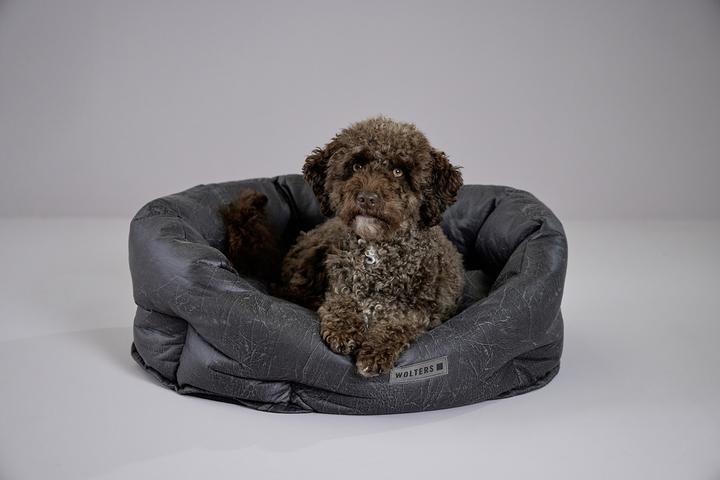 Image du produit Wolters Vintage (Chien)