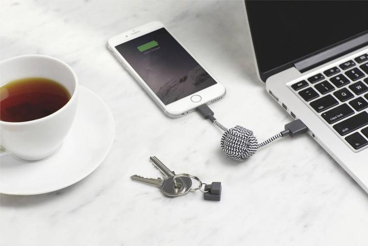 Immagine prodotto Native Union cavo chiave (0.10 m, USB 2.0)