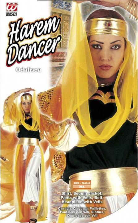 Image du produit Widmann Costume oriental de dame de harem (XL)