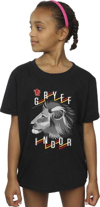 Image du produit - T-shirt GRYFFINDOR LION ICON - Fille (104)