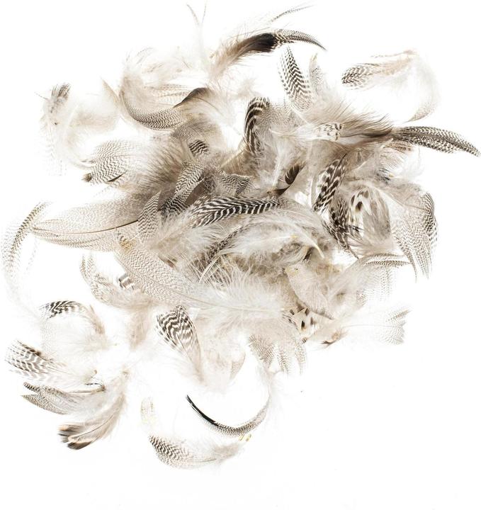 Immagine prodotto Glorex Piume di gallo 5-12 cm, 10 g, marrone