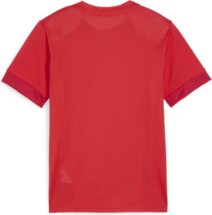 Image du produit Puma teamGOAL Matchday Jersey jr (XS)