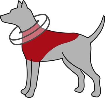 Actual product image Trixie Protective collar, inflatable (Dog)