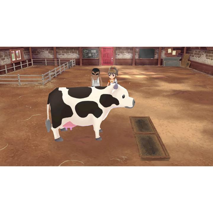 Immagine prodotto Marvelous La storia delle stagioni: Una vita meravigliosa (Switch, EN)