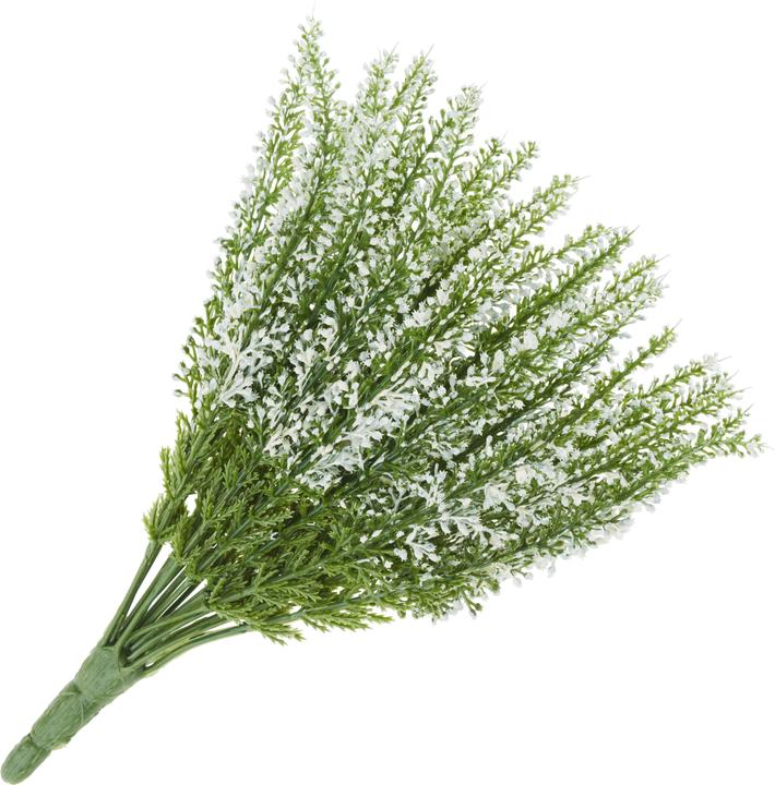 Immagine prodotto DPI Erica, 24 fili di fiori, L 26 cm