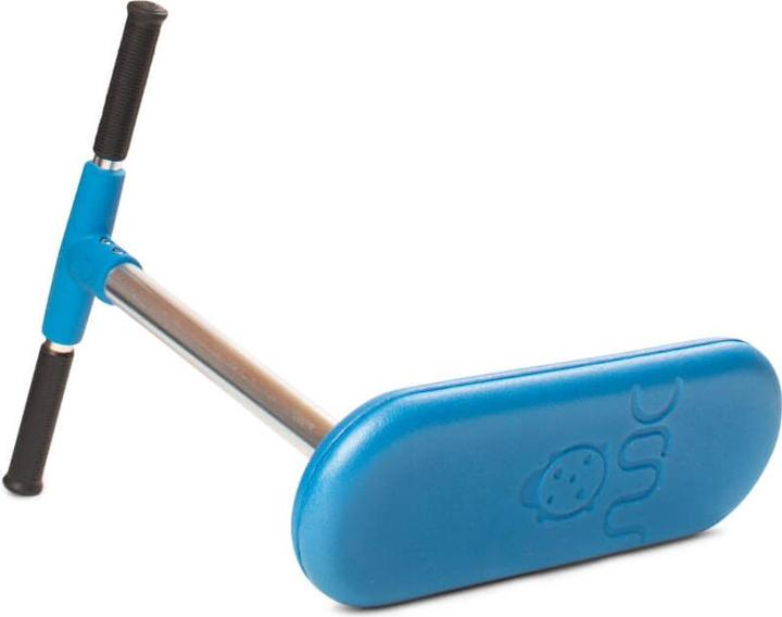 Actual product image Indo Bug