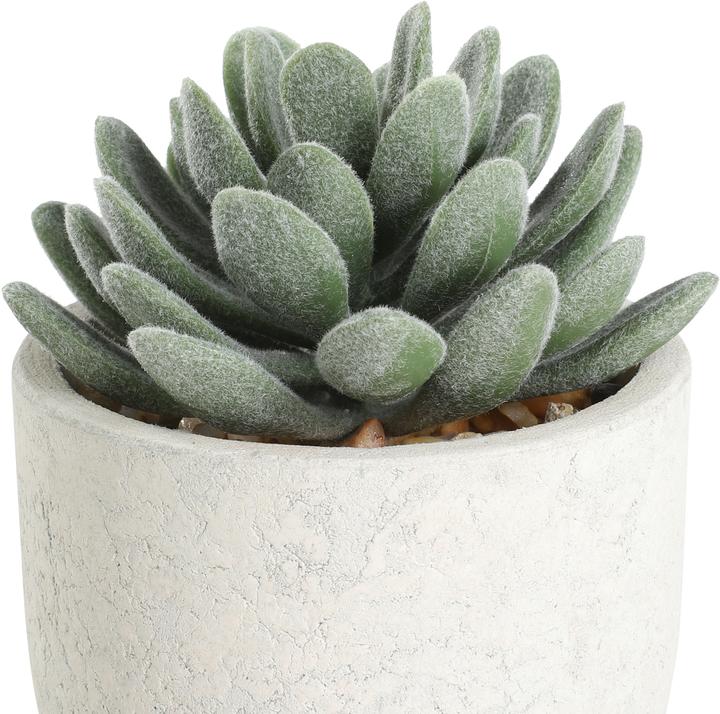 Actual product image EGLO LIVING Chitose (11 cm)