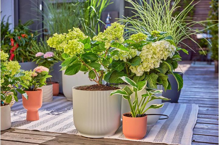 Produktbild Gardena Micro-Drip-System Set Terrasse (Tropfbewässerung Set)