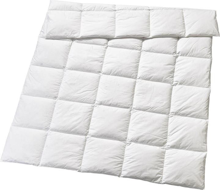 Immagine prodotto Billerbeck Edition Elwine Medio (750 g, 160 x 210 cm)