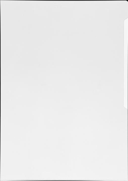 Immagine prodotto Durable Premium (A3, 10 x)