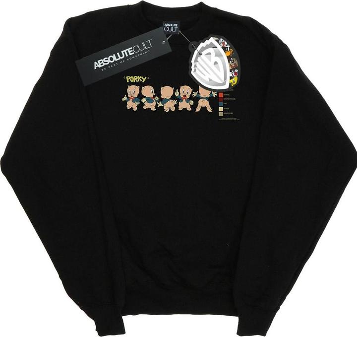 Looney Tunes Porky Pig Colour Code Sweatshirt