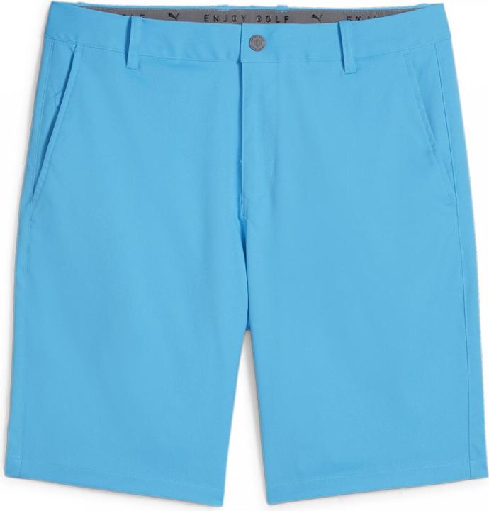 Image du produit Puma Dealer Short 10 (40)