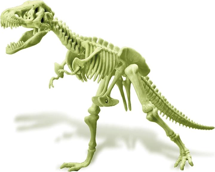 Immagine prodotto 4M Scheletro luminoso di T-Rex (Tedesco, Francese, Inglese)