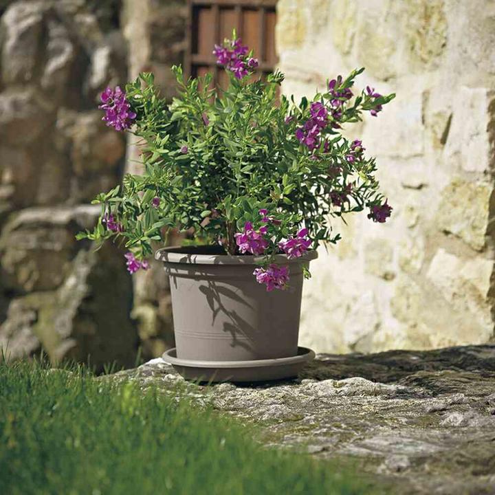 Produktbild Euro3plast Pflanzkübel (25 cm)