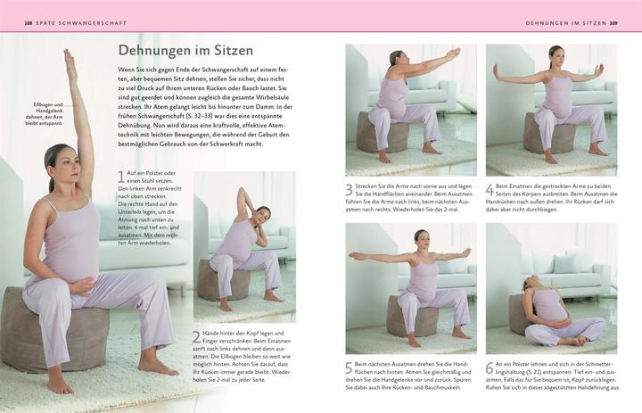 Image du produit Yoga in der Schwangerschaft (Allemand, Fran¢oise Barbira Barbira Freedman, 2015)