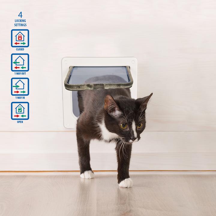 Actual product image EBI Cat flap + tunnel