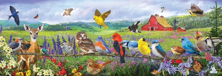 Produktbild Sunsout Puzzle 500 pieces XXL Pieces - Eastern Birds (500 Teile)