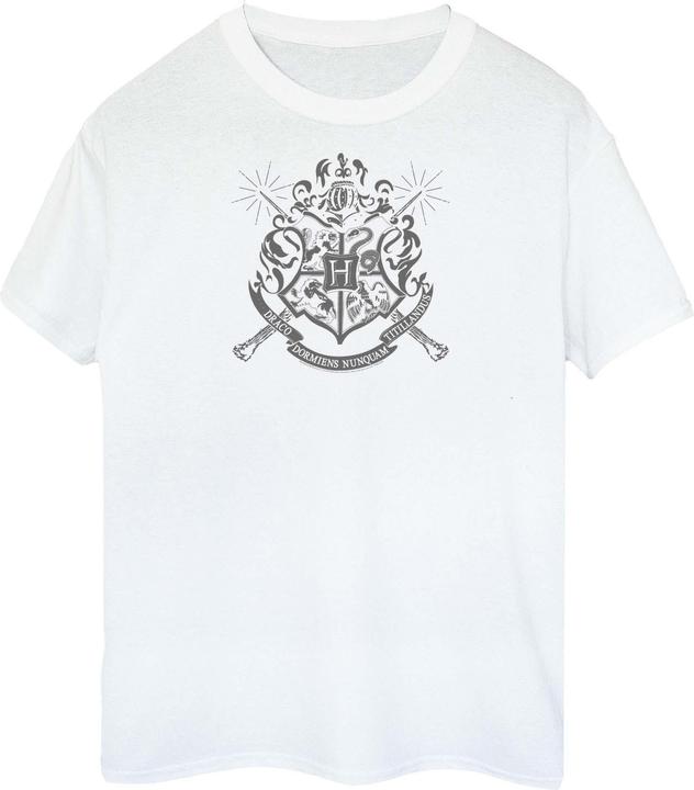 Immagine prodotto T-shirt in cotone nelle case di Poudlard (XL)