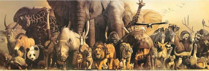 Produktbild Eurographics Tiere der Arche Noah (1000 Teile)