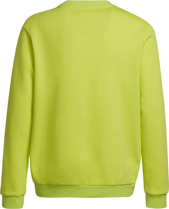 Image du produit adidas Entrada 22 Sweatshirt enfants (164)