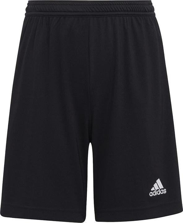 Actual product image adidas Entrada 22 Shorts (116)