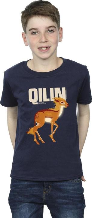 Image du produit Fantastic Beasts - T-shirt QILIN CHARACTER - Garçon (128)