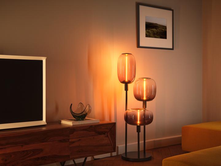 Image du produit Ledvance Lampadaire LEDV (E27)