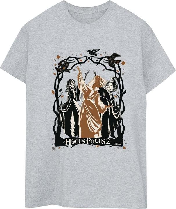 Immagine prodotto Disney Hocus Pocus Birds Maglietta Ampia Donna (4XL)