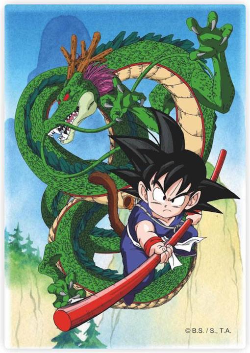 SD Toys DRAGON BALL - Shenron e Goku - Magnete '10x15x1cm'".