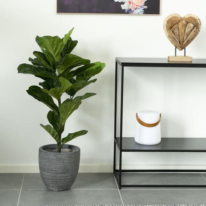 Produktbild House Nordic Fiddle Leaf Tree (100 cm)