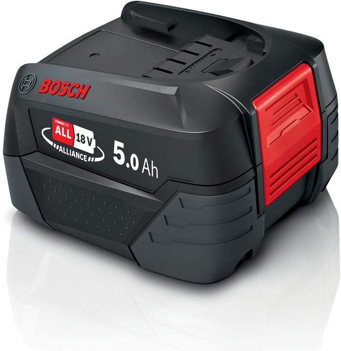 Bosch Home & Garden Interchangeable battery (18 V)