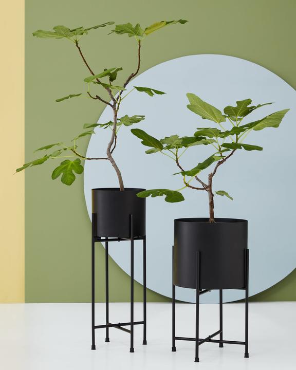 Produktbild micasa Elea (24 cm)