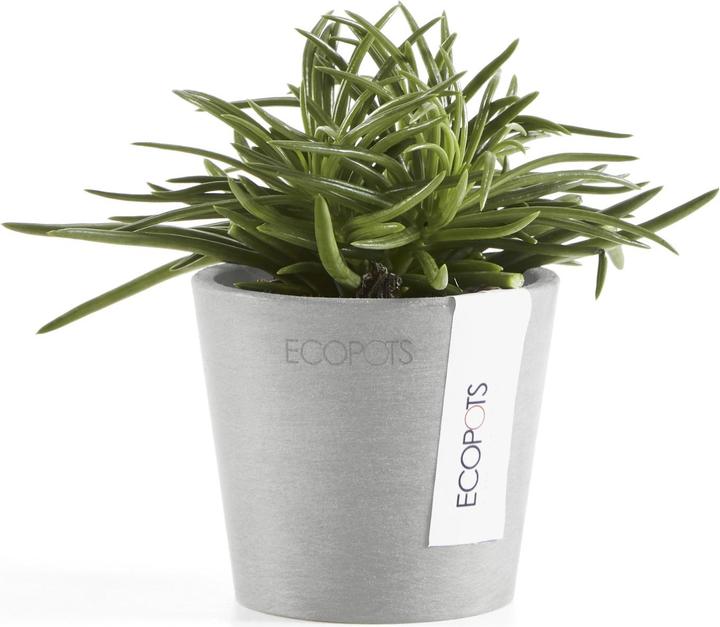 Produktbild Ecopots Amsterdam Mini (8 cm)