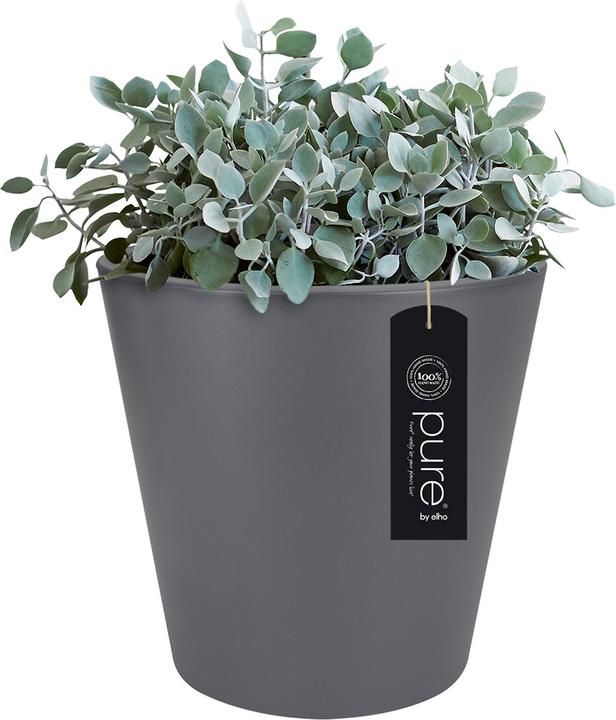 Image du produit Elho Jardinière Pure straight round plastique 65 H 68,5 cm anthracite (64 cm)