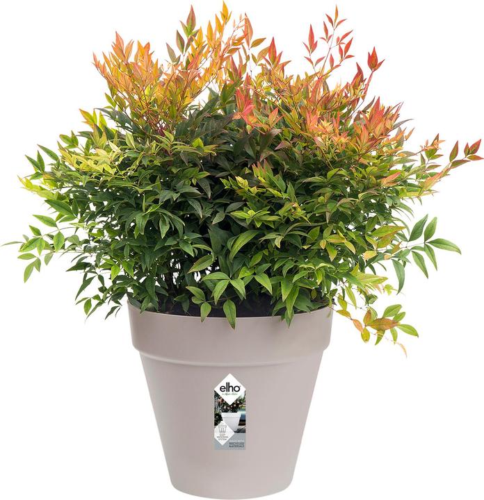 Image du produit Elho Loft urbain (24 cm)