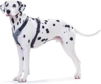 Actual product image Hunter Neoprene harness for dogs Black L/XL (L, XL, Dog, General)