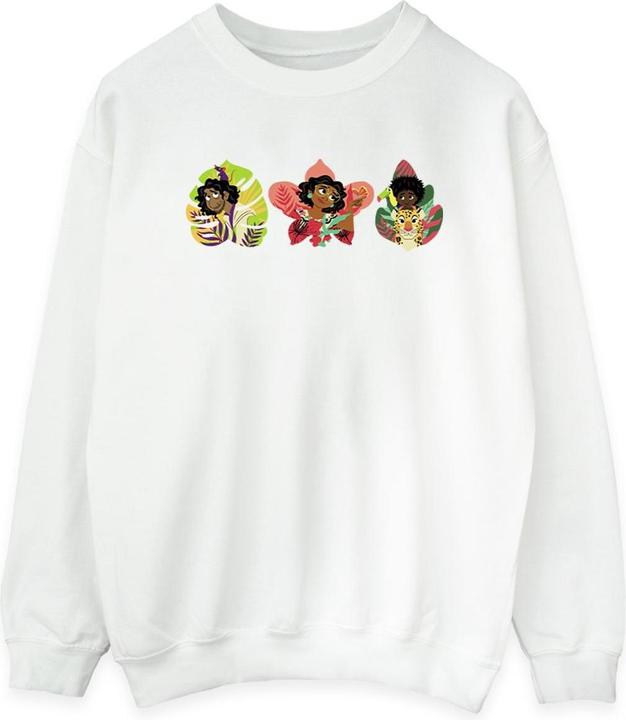 Produktbild Disney Encanto Family Line Sweatshirt (XL)