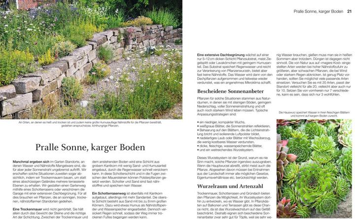 Actual product image Welche Pflanze passt wohin im Naturgarten? (German, Paula Polak, 2020)