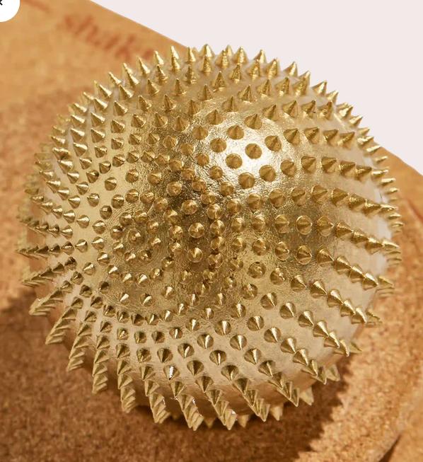 Image du produit Shakti Spiky Ball