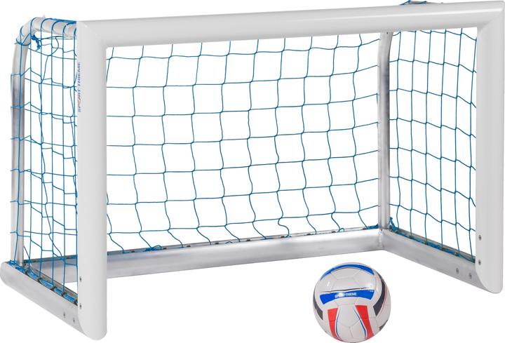 Sport-Thieme Alu-Mini-Trainingstor Professional Kompakt, Weiss-Pulverbeschichtet