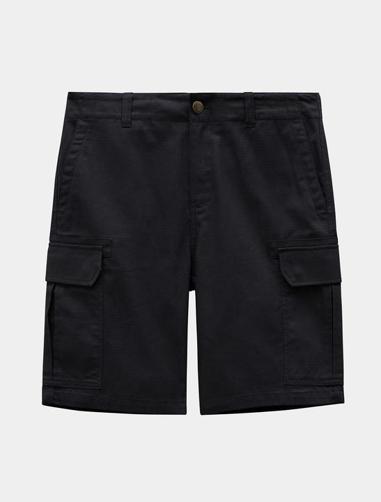 Actual product image Dickies Millerville Shorts (28)