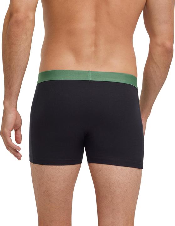 Image du produit Falke 2-Pack Men (L, lot de 2)