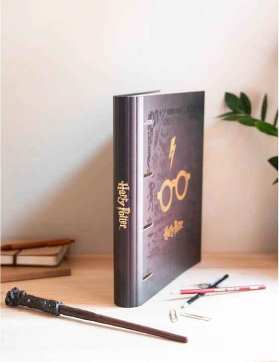 Actual product image Grupo Erik Harry Potter - Classeur Premium à 4 anneaux avec élastique Lunettes d'Harry (A4, 1 Piece)
