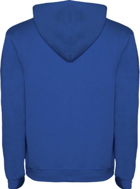 Produktbild Alpinia Urban Kapuzenpullover (M)
