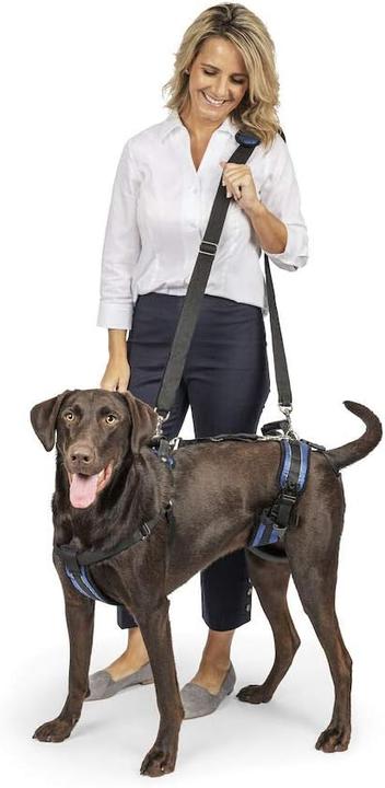 Immagine prodotto PetSafe Pettorina per cani per tutto il corpo (L, Cane, Generale, Passeggiare)