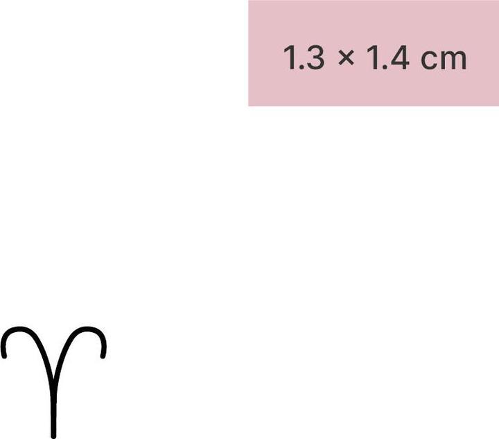 Produktbild minink Temporäres Tattoo – Sternzeichen Widder