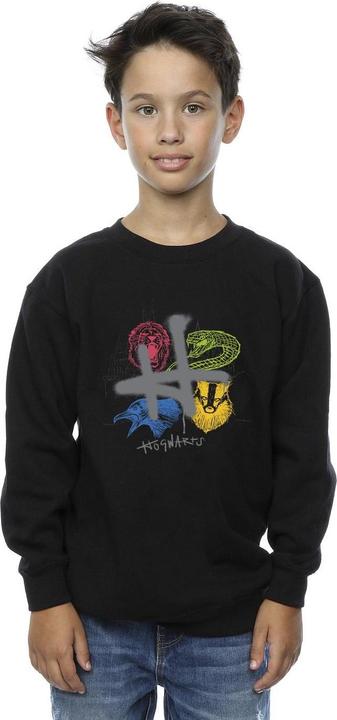 Actual product image Boys Emblems H Spray Sweatshirt (104)