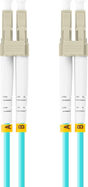 Produktbild Lanberg FO-LULU-MD31-0010-TQ (1 m)