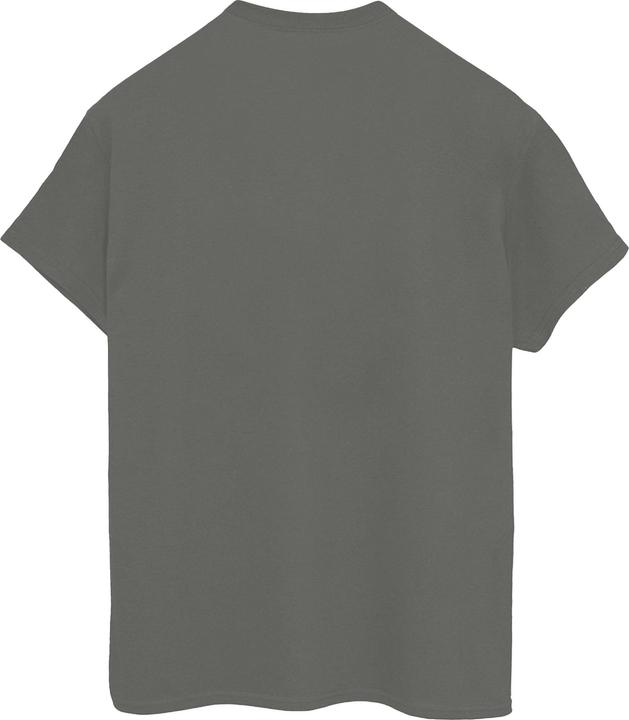 Produktbild Dam Spoiler Alert TShirt Jungen (152, 158)