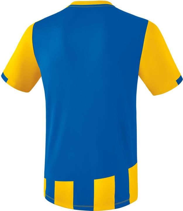 Actual product image Erima Siena 3.0 jersey (M)